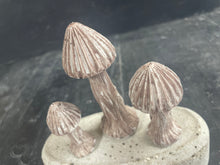 Load image into Gallery viewer, S/3 Cement Mushrooms | Concrete Shrooms | Great for SMALL Areas | Burnt Umber | Sealed | HANDMADE | JLK