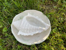 Load image into Gallery viewer, Cement Bee Watering Station | Butterfly Concrete Puddler Green edged Dish w/Sea Shell Station | Nautical | Pollinator Garden | JLK (Copy)