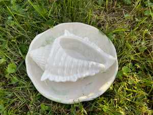 Cement Bee Watering Station | Butterfly Concrete Puddler Green edged Dish w/Sea Shell Station | Nautical | Pollinator Garden | JLK (Copy)