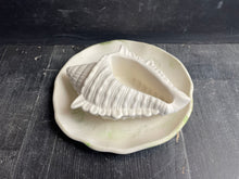 Load image into Gallery viewer, Cement Bee Watering Station | Butterfly Concrete Puddler Green edged Dish w/Sea Shell Station | Nautical | Pollinator Garden | JLK (Copy)