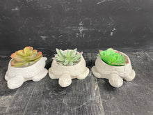 Load image into Gallery viewer, Turtle Cement Planter | Concrete Candle Dish| HANDMADE | JLK