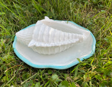 Load image into Gallery viewer, Cement Bee Watering Station | Butterfly Concrete Puddler Aqua edged Dish w/Sea Shell Station | Nautical | Pollinator Garden | JLK