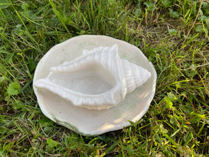 Cement Bee Watering Station | Butterfly Concrete Puddler Green edged Dish w/Sea Shell Station | Nautical | Pollinator Garden | JLK (Copy)