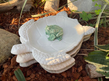 Load image into Gallery viewer, Sea Turtle BEE Watering Station with FROG | Sealed Cement Butterfly Puddler Dish | Pollinator Garden | HandMade | JLK