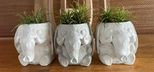 Load image into Gallery viewer, Good Luck Elephant | Cement | Concrete | 3 inch | HANDMADE | JLK