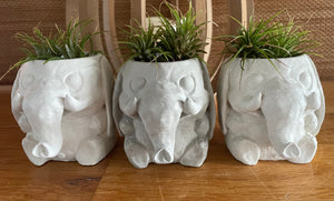 Good Luck Elephant | Cement | Concrete | 3 inch | HANDMADE | JLK