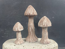 Load image into Gallery viewer, S/3 Cement Mushrooms | Concrete Shrooms | Great for SMALL Areas | Burnt Umber | Sealed | HANDMADE | JLK