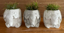 Load image into Gallery viewer, Good Luck Elephant | Cement | Concrete | 3 inch | HANDMADE | JLK