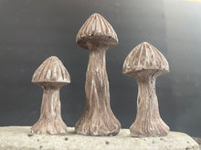 Load image into Gallery viewer, S/3 Cement Mushrooms | Concrete Shrooms | Great for SMALL Areas | Burnt Umber | Sealed | HANDMADE | JLK