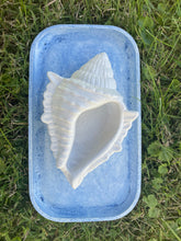 Load image into Gallery viewer, Cement Bee Watering Station | Butterfly Concrete Blue Puddler Dish w/Sea Shell Station | Nautical | Pollinator Garden | JLK