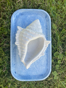 Cement Bee Watering Station | Butterfly Concrete Blue Puddler Dish w/Sea Shell Station | Nautical | Pollinator Garden | JLK