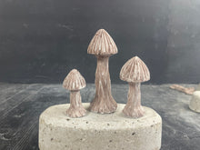 Load image into Gallery viewer, S/3 Cement Mushrooms | Concrete Shrooms | Great for SMALL Areas | Burnt Umber | Sealed | HANDMADE | JLK