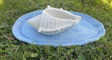 Load image into Gallery viewer, Cement Bee Watering Station | Butterfly Concrete Blue Puddler Dish w/Sea Shell Station | Nautical | Pollinator Garden | JLK