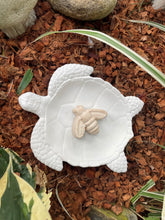 Load image into Gallery viewer, Sea Turtle BEE Watering Station | Sealed Cement Butterfly Puddler Dish | Pollinator Garden | HandMade | JLK