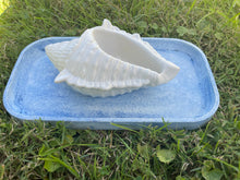 Load image into Gallery viewer, Cement Bee Watering Station | Butterfly Concrete Blue Puddler Dish w/Sea Shell Station | Nautical | Pollinator Garden | JLK