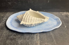 Load image into Gallery viewer, Cement Bee Watering Station | Butterfly Concrete Blue Puddler Dish w/Sea Shell Station | Nautical | Pollinator Garden | JLK