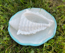 Load image into Gallery viewer, Cement Bee Watering Station | Butterfly Concrete Puddler Aqua edged Dish w/Sea Shell Station | Nautical | Pollinator Garden | JLK