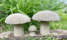 Load image into Gallery viewer, S/3 Cement Mushrooms, Hypertufa Rustic Handmade Shrooms, Lightweight Concrete, Yard Art, Toadstool, JLK