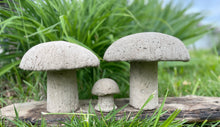 Load image into Gallery viewer, S/3 Cement Mushrooms, Hypertufa Rustic Handmade Shrooms, Lightweight Concrete, Yard Art, Toadstool, JLK