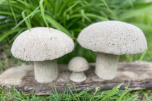 Load image into Gallery viewer, S/3 Cement Mushrooms, Hypertufa Rustic Handmade Shrooms, Lightweight Concrete, Yard Art, Toadstool, JLK