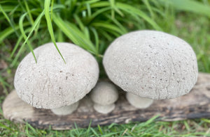 S/3 Cement Mushrooms, Hypertufa Rustic Handmade Shrooms, Lightweight Concrete, Yard Art, Toadstool, JLK