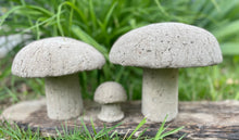 Load image into Gallery viewer, S/3 Cement Mushrooms, Hypertufa Rustic Handmade Shrooms, Lightweight Concrete, Yard Art, Toadstool, JLK