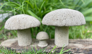 S/3 Cement Mushrooms, Hypertufa Rustic Handmade Shrooms, Lightweight Concrete, Yard Art, Toadstool, JLK