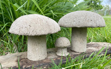 Load image into Gallery viewer, S/3 Cement Mushrooms, Hypertufa Rustic Handmade Shrooms, Lightweight Concrete, Yard Art, Toadstool, JLK