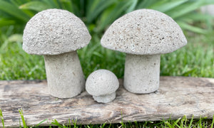 S/3 Cement Mushrooms, Hypertufa Rustic Handmade Shrooms, Lightweight Concrete, Yard Art, Toadstool, JLK