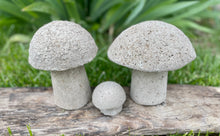 Load image into Gallery viewer, S/3 Cement Mushrooms, Hypertufa Rustic Handmade Shrooms, Lightweight Concrete, Yard Art, Toadstool, JLK