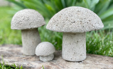 Load image into Gallery viewer, S/3 Cement Mushrooms, Hypertufa Rustic Handmade Shrooms, Lightweight Concrete, Yard Art, Toadstool, JLK