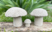 Load image into Gallery viewer, S/3 Cement Mushrooms, Hypertufa Rustic Handmade Shrooms, Lightweight Concrete, Yard Art, Toadstool, JLK