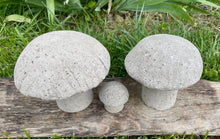 Load image into Gallery viewer, S/3 Cement Mushrooms, Hypertufa Rustic Handmade Shrooms, Lightweight Concrete, Yard Art, Toadstool, JLK