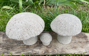 S/3 Cement Mushrooms, Hypertufa Rustic Handmade Shrooms, Lightweight Concrete, Yard Art, Toadstool, JLK