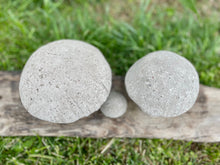 Load image into Gallery viewer, S/3 Cement Mushrooms, Hypertufa Rustic Handmade Shrooms, Lightweight Concrete, Yard Art, Toadstool, JLK