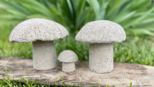 Load image into Gallery viewer, S/3 Cement Mushrooms, Hypertufa Rustic Handmade Shrooms, Lightweight Concrete, Yard Art, Toadstool, JLK