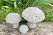 Load image into Gallery viewer, S/3 Cement Mushrooms, Hypertufa Rustic Handmade Shrooms, Lightweight Concrete, Yard Art, Toadstool, JLK