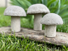 Load image into Gallery viewer, S/3 Cement Mushrooms, Hypertufa Rustic Handmade Shrooms, Lightweight Concrete, Yard Art, Toadstool, JLK