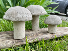 Load image into Gallery viewer, S/3 Cement Mushrooms, Hypertufa Rustic Handmade Shrooms, Lightweight Concrete, Yard Art, Toadstool, JLK