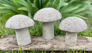 S/3 Cement Mushrooms, Hypertufa Rustic Handmade Shrooms, Lightweight Concrete, Yard Art, Toadstool, JLK