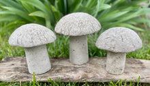 Load image into Gallery viewer, S/3 Cement Mushrooms, Hypertufa Rustic Handmade Shrooms, Lightweight Concrete, Yard Art, Toadstool, JLK