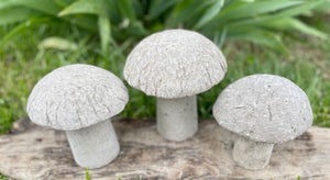 S/3 Cement Mushrooms, Hypertufa Rustic Handmade Shrooms, Lightweight Concrete, Yard Art, Toadstool, JLK