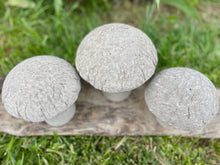 Load image into Gallery viewer, S/3 Cement Mushrooms, Hypertufa Rustic Handmade Shrooms, Lightweight Concrete, Yard Art, Toadstool, JLK