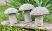 Load image into Gallery viewer, S/3 Cement Mushrooms, Hypertufa Rustic Handmade Shrooms, Lightweight Concrete, Yard Art, Toadstool, JLK