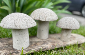 S/3 Cement Mushrooms, Hypertufa Rustic Handmade Shrooms, Lightweight Concrete, Yard Art, Toadstool, JLK