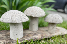 Load image into Gallery viewer, S/3 Cement Mushrooms, Hypertufa Rustic Handmade Shrooms, Lightweight Concrete, Yard Art, Toadstool, JLK