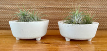 Load image into Gallery viewer, S/2 White Cement Planters w/legs | Concrete Round Pots | Great for Small Areas | Sealant Option | HANDMADE | JLK