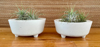 S/2 White Cement Planters w/legs | Concrete Round Pots | Great for Small Areas | Sealant Option | HANDMADE | JLK