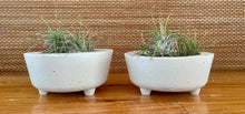 Load image into Gallery viewer, S/2 White Cement Planters w/legs | Concrete Round Pots | Great for Small Areas | Sealant Option | HANDMADE | JLK