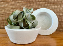 Load image into Gallery viewer, S/2 White Cement Planters | Round Concrete Pots | Great for Smaller Areas | HANDMADE | JLK